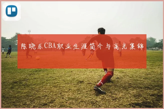 陈晓东CBA职业生涯简介与高光集锦