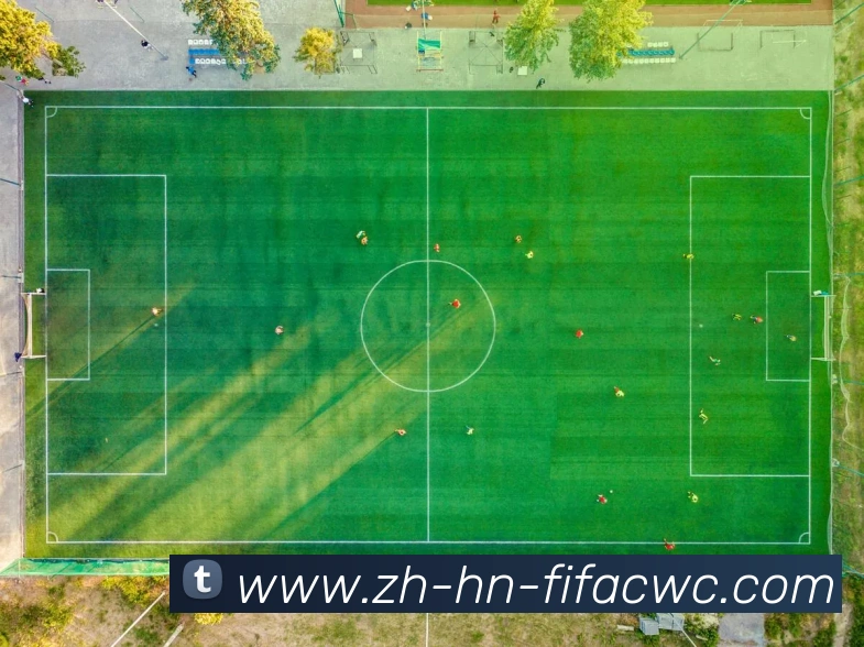 2017年火箭队球员年薪数据统计与比较