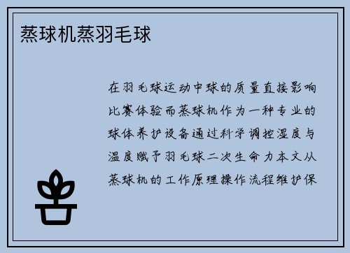 蒸球机蒸羽毛球